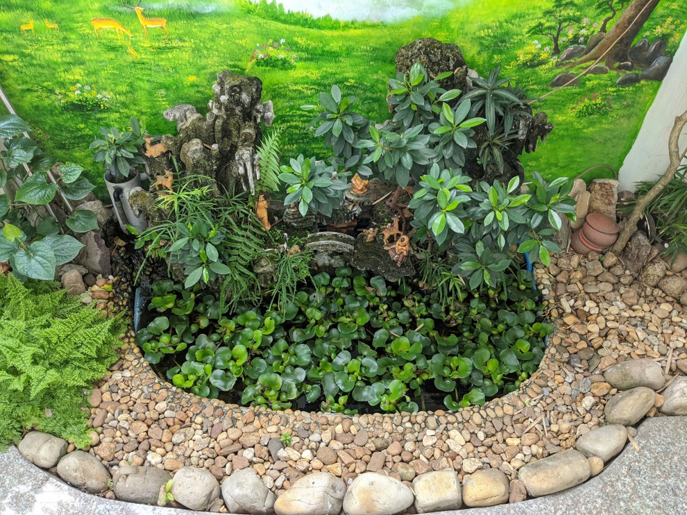 Khu vườn treo 100m2 tươi tốt như rừng nhiệt đới của gia đình Hải Phòng - 3 Khu vườn treo 100m2 tươi tốt như rừng nhiệt đới của gia đình Hải Phòng - 3