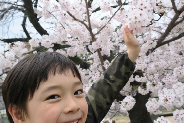 Trẻ em Nhật Bản hết nói lắp nhờ sự trợ giúp của bố mẹ ra sao?