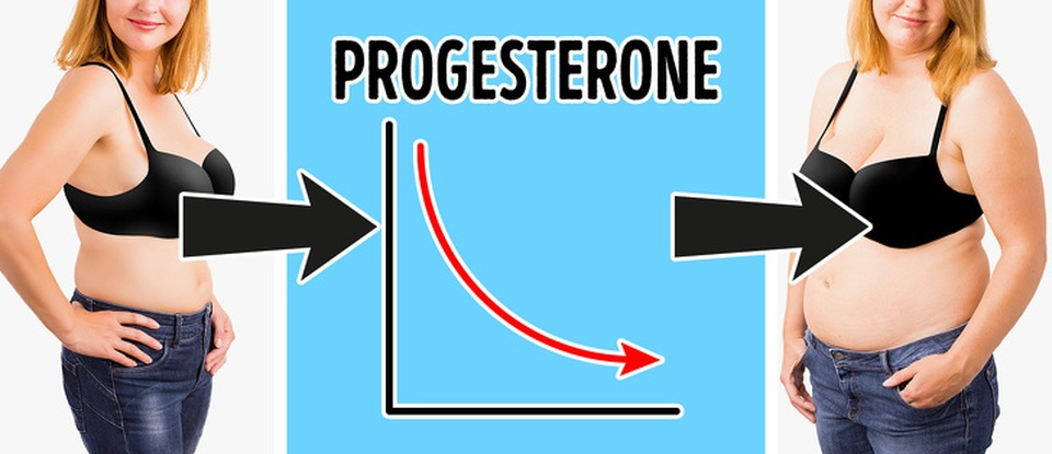 9 hormone liên quan đến vấn đề cân nặng và cách phòng tránh - 5 9 hormone liên quan đến vấn đề cân nặng và cách phòng tránh - 5