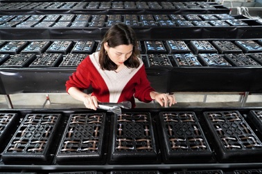 Cua biển "độc thân", ở "nhà tầng", cứ 500 con mang lại 100 triệu đồng