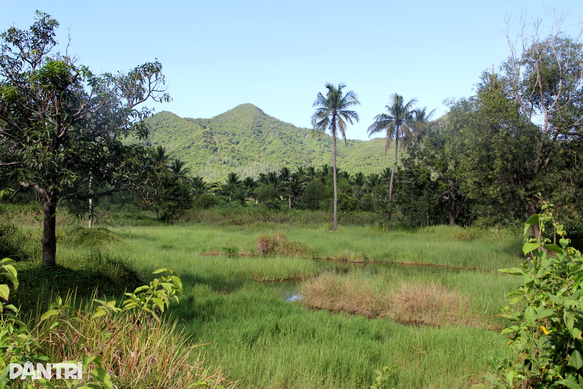 Toàn cảnh dự án 6.000 tỷ đồng bị đề nghị chuyển Thanh tra Chính phủ xử lý - 7 Toàn cảnh dự án 6.000 tỷ đồng bị đề nghị chuyển Thanh tra Chính phủ xử lý - 7