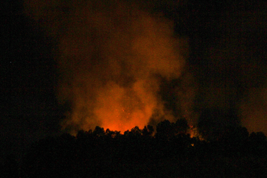 Đà Nẵng: Rừng cháy dữ dội, hàng trăm người dập lửa trong đêm