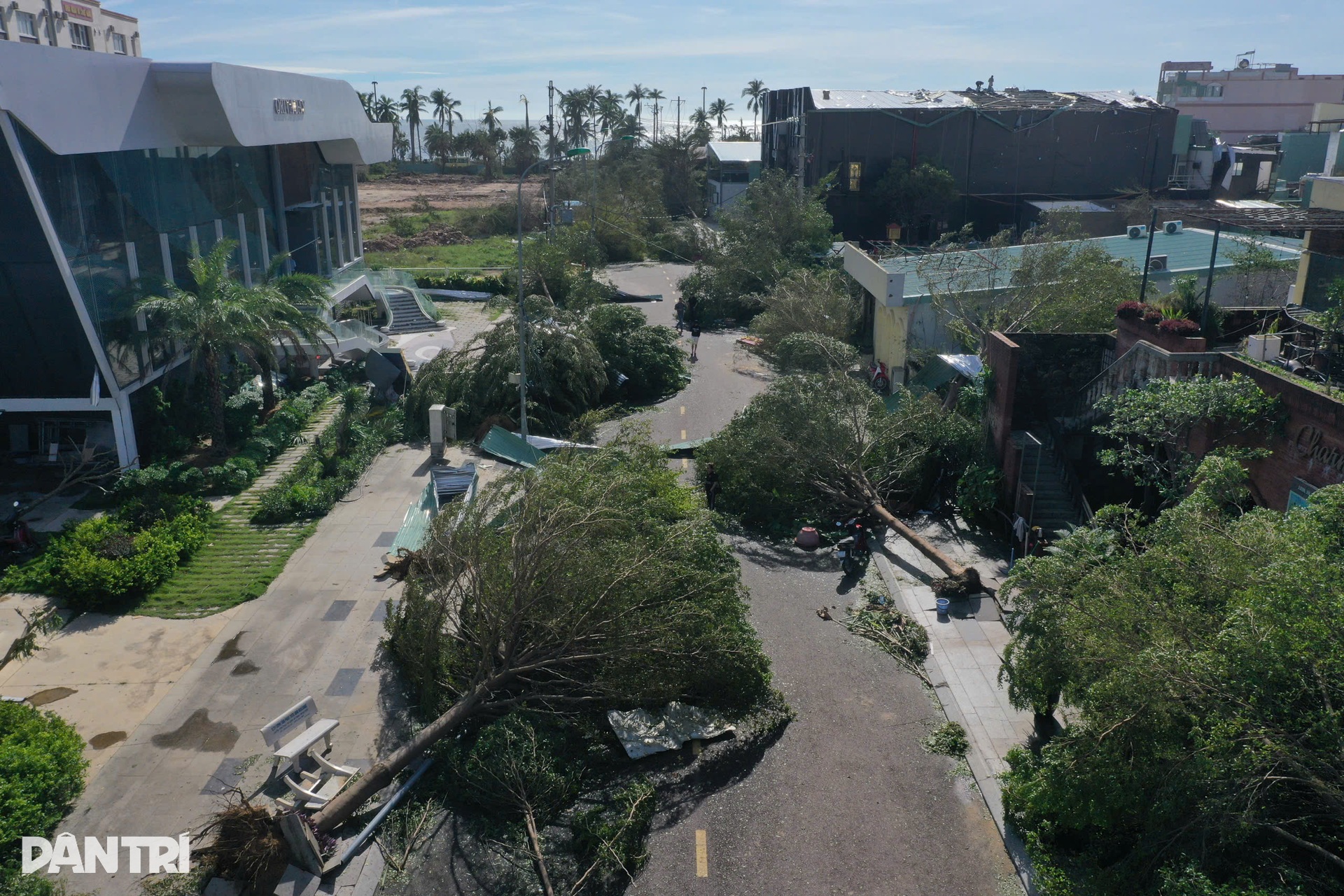 Quy Nhơn tan hoang sau bão Kalmaegi - 3 Quy Nhơn tan hoang sau bão Kalmaegi - 3