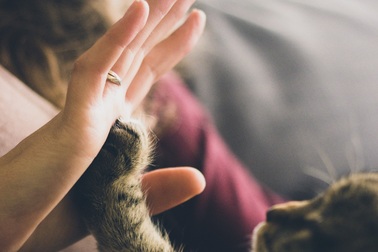 11 thói quen của những người cực kỳ dễ thương