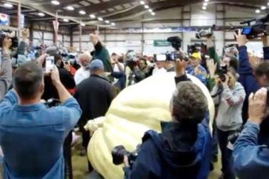 Quả bí ngô "khủng" nhất thế giới