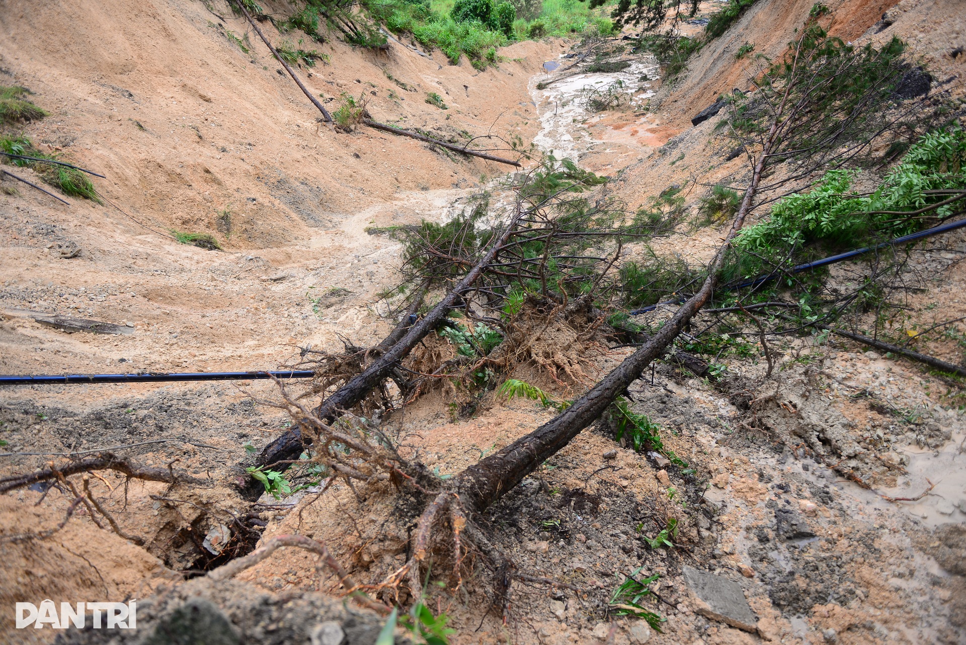 Đèo Mimosa bị “xé đôi”, giao thông cửa ngõ Đà Lạt tê liệt - 7 Đèo Mimosa bị “xé đôi”, giao thông cửa ngõ Đà Lạt tê liệt - 7
