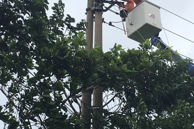 Khắc phục nhiều sự cố lưới điện ảnh hưởng do cơn bão số 2