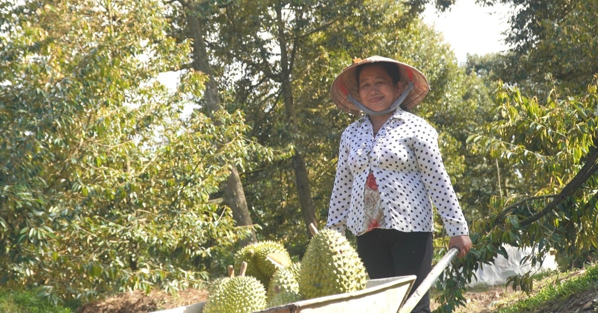 Bà nông dân chỉ học đến lớp 8 nhưng giúp được nhiều người cùng giàu có