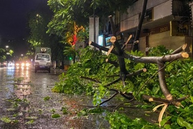 Cơn mưa lớn giải nhiệt nắng nóng ở Hà Nội khiến nhiều cây gẫy đổ, ngập úng
