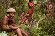 Những tập tục kỳ lạ của bộ tộc sống biệt lập trong rừng sâu Amazon