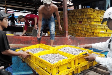 Đề nghị lập Bảo tàng nước mắm truyền thống