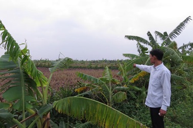 “Án bỏ túi” hôm qua, hành trình minh oan hôm nay