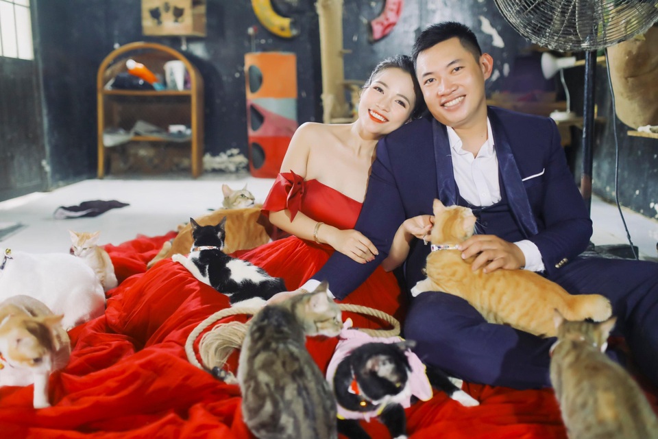 Cặp đôi chụp ảnh cưới độc đáo cùng dàn chó mèo cưng xỉu - 3 Cặp đôi chụp ảnh cưới độc đáo cùng dàn chó mèo cưng xỉu - 3