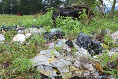 Hà Tĩnh: Di chỉ khảo cổ Quốc gia trở thành nơi đổ rác, chăn thả gia súc!