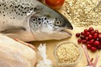 Thức ăn giàu đạm