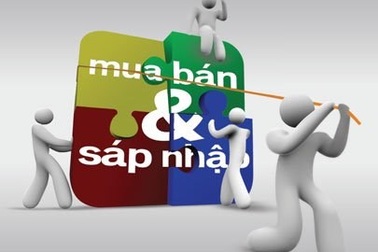 Chưa xử lý được dứt điểm pháp nhân của tổ chức tín dụng yếu kém