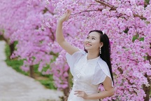 Hơn 70% tour du lịch hủy đến Bình Định dịp Tết vì lo Covid-19