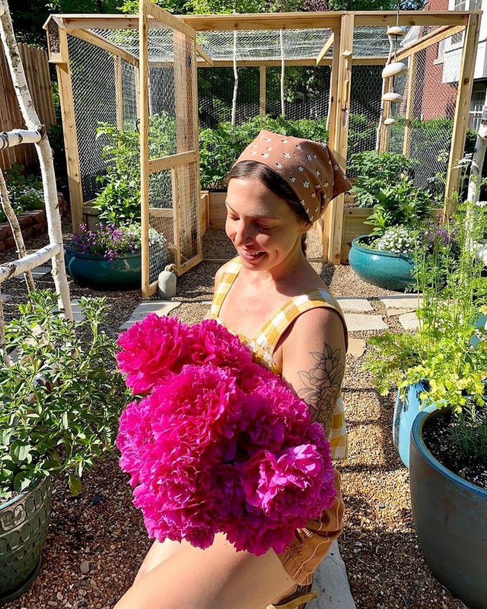 Vườn rau sạch đủ loại hái không xuể, mẹ đảm chia cho cả hàng xóm - 1