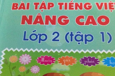 Giám đốc NXB giải thích việc sách Tiếng Việt lớp 2 dạy... làm Toán
