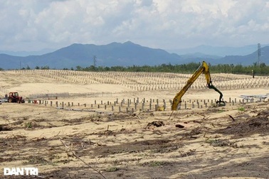 Doanh nghiệp "nhầm lẫn" phá hơn 5 ha rừng: Đề xuất phạt 60-150 triệu đồng