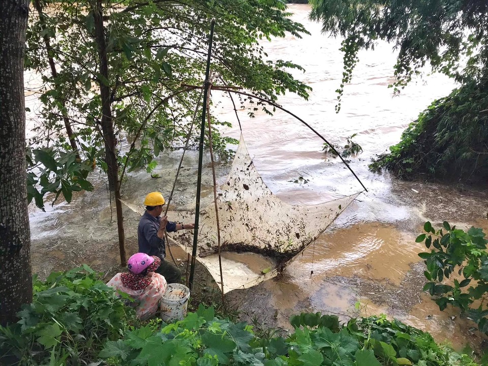 Người dân đổ ra đường giăng lưới bắt cá giữa lũ lớn - 9 Người dân đổ ra đường giăng lưới bắt cá giữa lũ lớn - 9