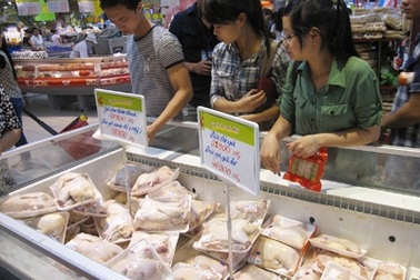 Gà nhập Hàn Quốc là "gà loại thải" chứ không chỉ là "gà dai"