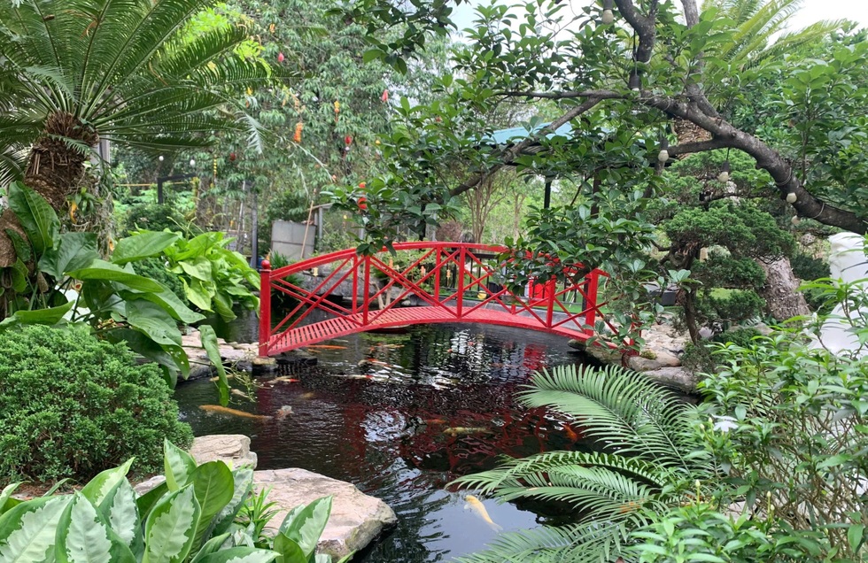 Trốn khói bụi, giám đốc ở Hà Nội về quê làm vườn 3.500m2 ngập hoa trái - 3