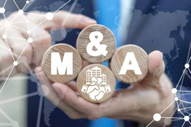 5 thương vụ M&A bất động sản nổi bật nhất năm 2024