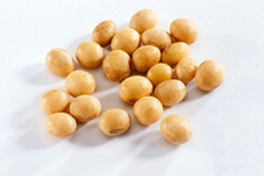 Vitamin K phòng loãng xương ở trẻ