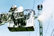 Cảnh sát dùng xe chuyên dụng phá tổ ong đốt nhiều người