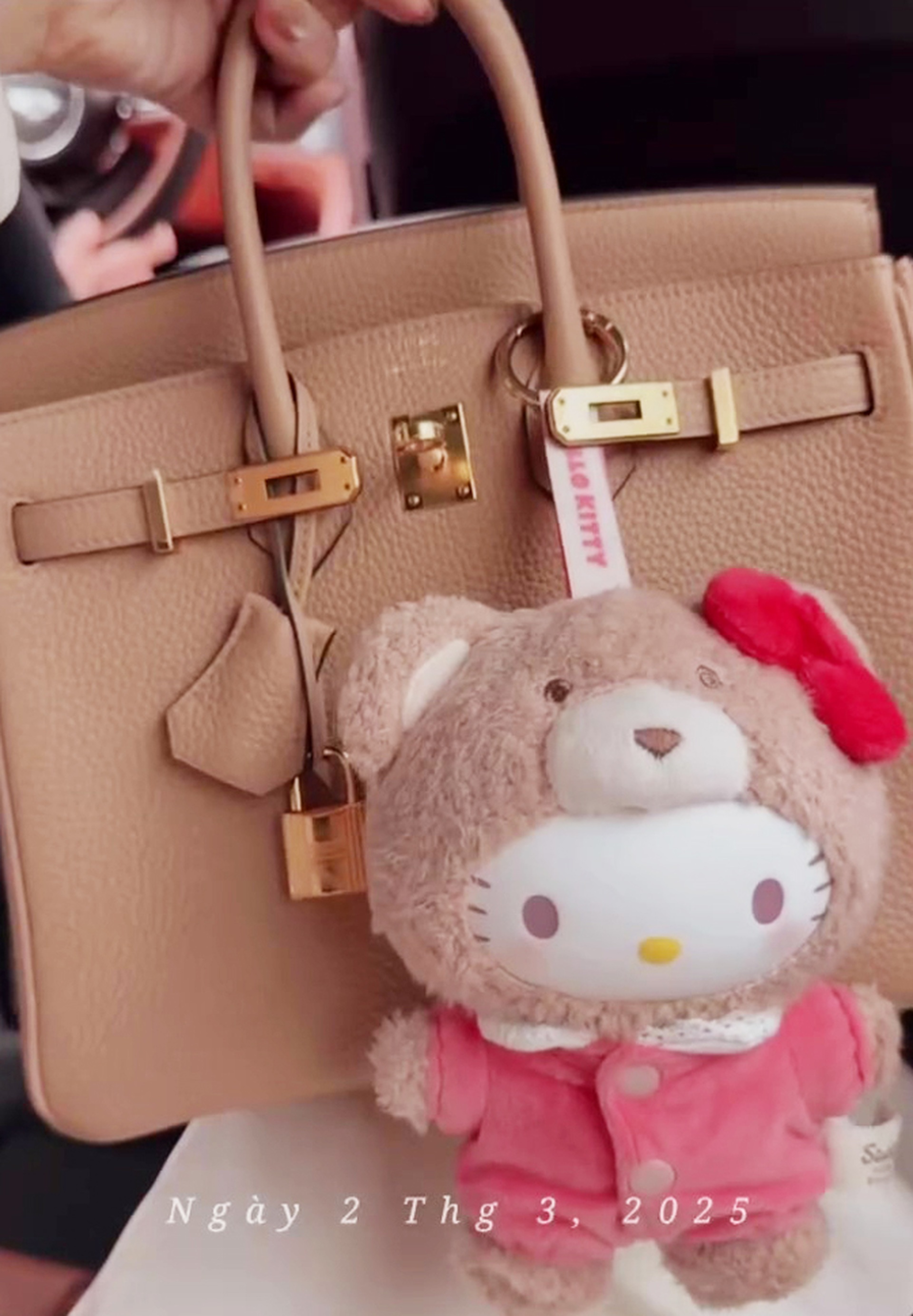 Bóc giá bộ sưu tập túi hiệu giá tiền tỷ của Hoa hậu Đỗ Mỹ Linh - 1 Bóc giá bộ sưu tập túi hiệu giá tiền tỷ của Hoa hậu Đỗ Mỹ Linh - 1