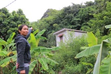 Ninh Bình: Di dời khẩn cấp hàng chục hộ dân khỏi vùng nguy cơ sạt lở núi