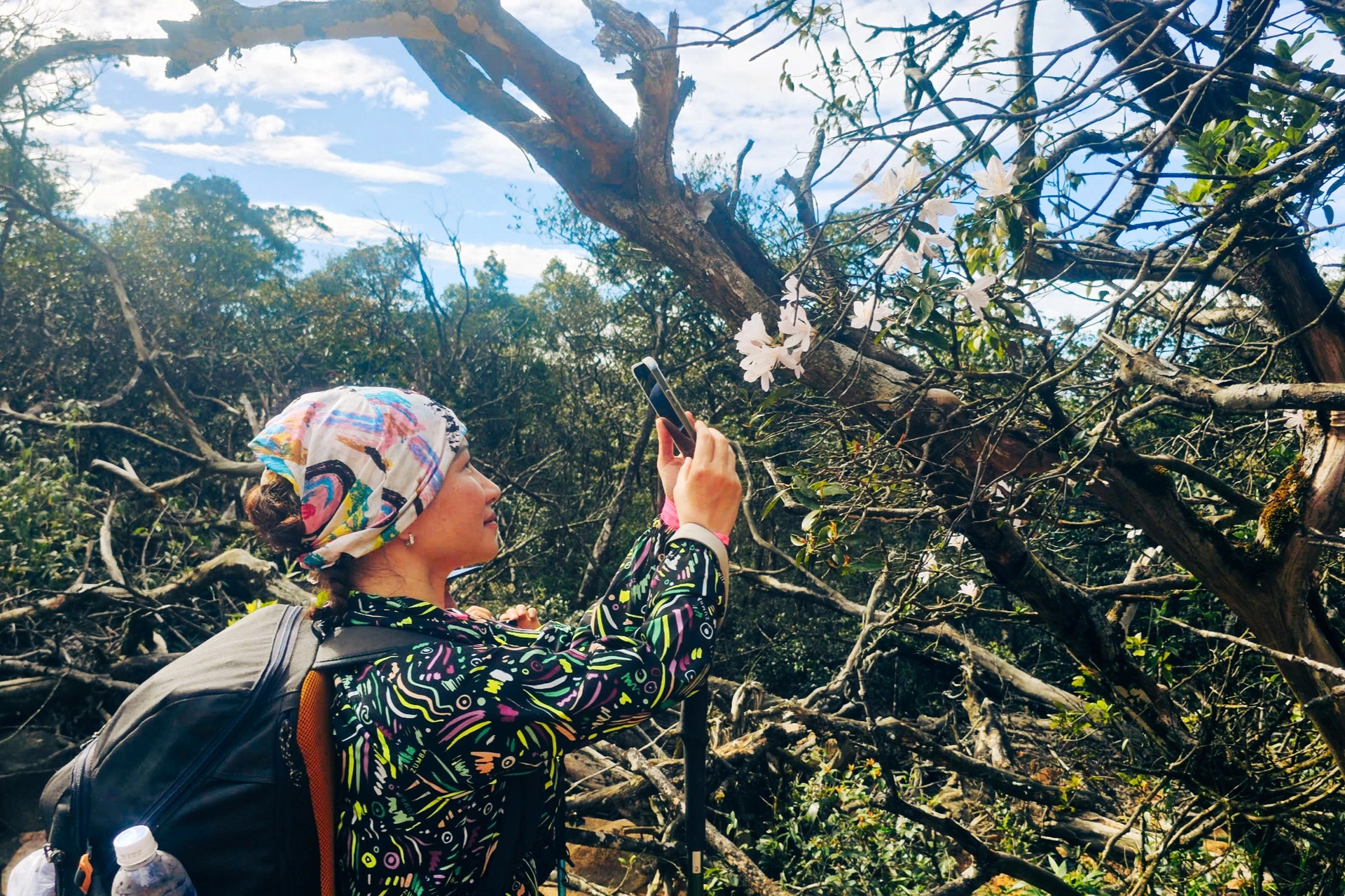 Săn mây trên “nóc nhà” Voi Mẹp cao hơn 1.700m so với mực nước biển - 11 Săn mây trên “nóc nhà” Voi Mẹp cao hơn 1.700m so với mực nước biển - 11