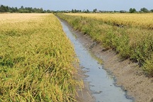 Kiến nghị điều tra phó phòng nông nghiệp chiếm dụng gần 300 triệu đồng