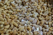 "Vua tiêu" suýt bị lừa 3 triệu USD và điểm giống vụ 100 container hạt điều