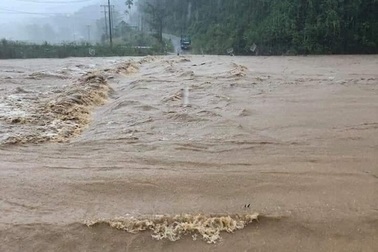 Quảng Ngãi: Lập phương án di dời 3.000 hộ dân ảnh hưởng mưa lũ