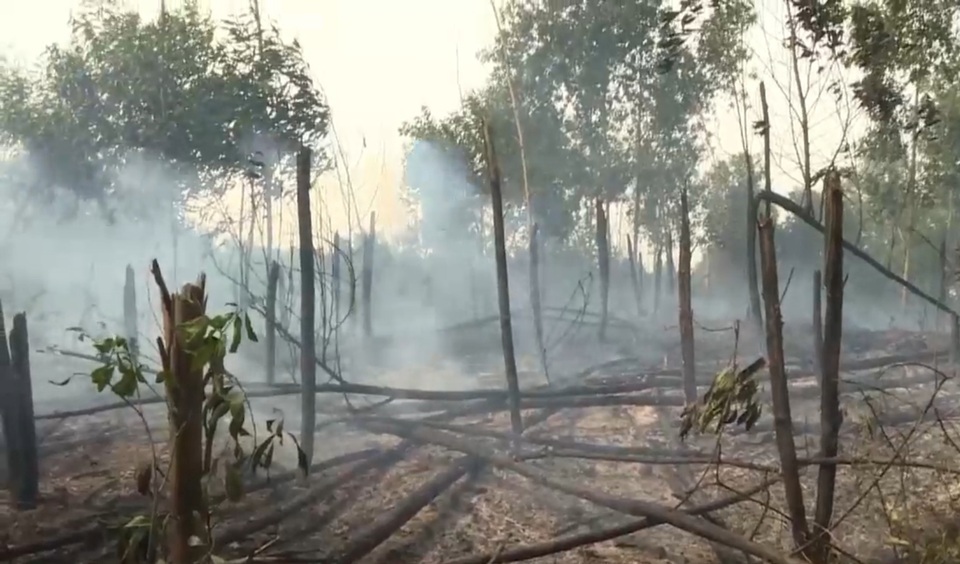 Cháy lớn suốt 4 giờ thiêu rụi 15 ha rừng - 2 Cháy lớn suốt 4 giờ thiêu rụi 15 ha rừng - 2