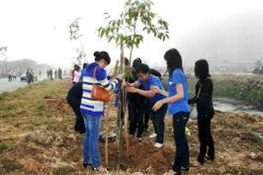 Để Tết trồng cây thực sự có ý nghĩa.