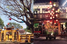 Việt Nam nhận giải "Điểm đến hàng đầu châu Á"