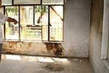 Những thông tin chấn động từ vụ xử lính Mỹ tại Iraq