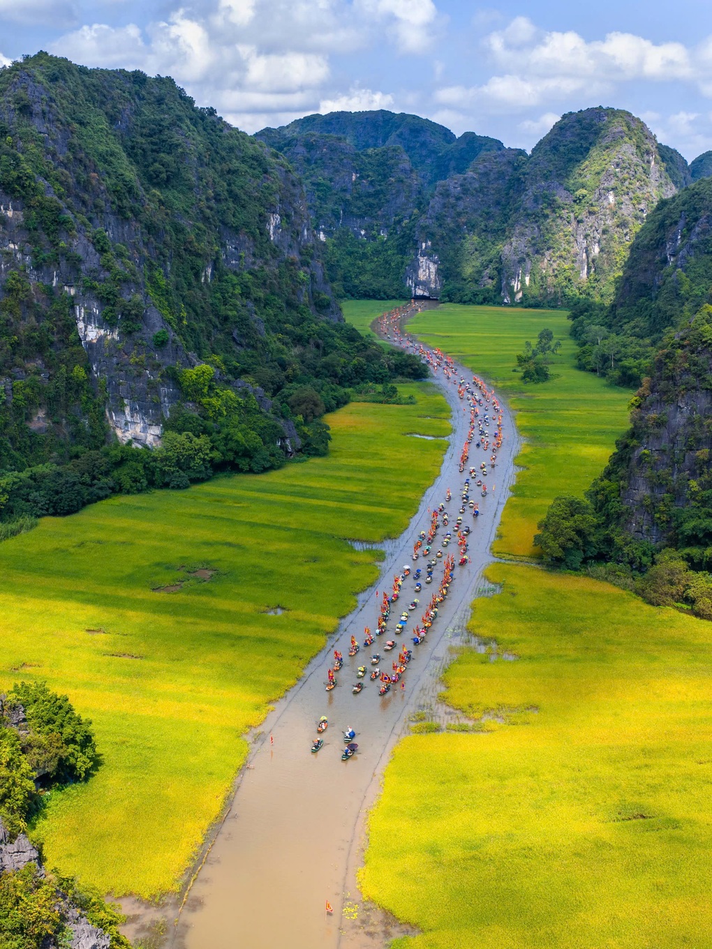 Mùa vàng trên cánh đồng lúa đẹp nhất Việt Nam - 3 Mùa vàng trên cánh đồng lúa đẹp nhất Việt Nam - 3