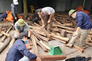 Ghé chợ "củi khô" xem người bán kiếm trăm triệu đồng mỗi năm