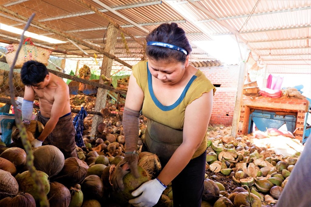 Về Bến Tre xem phụ nữ lột vỏ dừa nhanh... như máy - 1