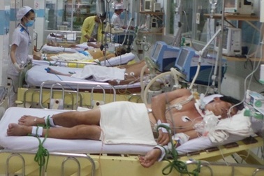 Thập tử nhất sinh vì vết trầy da do chó cào