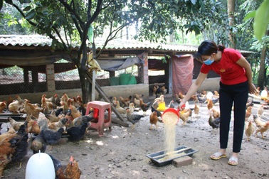 Giảm nghèo bền vững, nâng cao đời sống người dân nhờ cách làm riêng