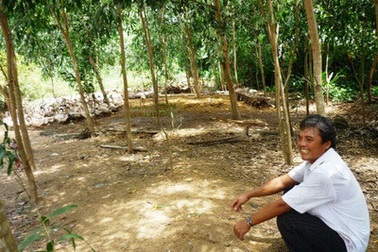 Những triệu phú nông dân đáng nể ở Bình Định