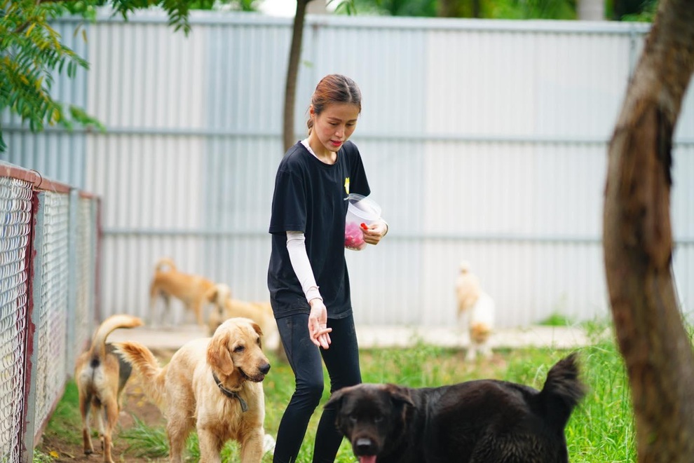 Mái ấm của những thú cưng bị bỏ rơi tại Hà Nội - 3 Mái ấm của những thú cưng bị bỏ rơi tại Hà Nội - 3