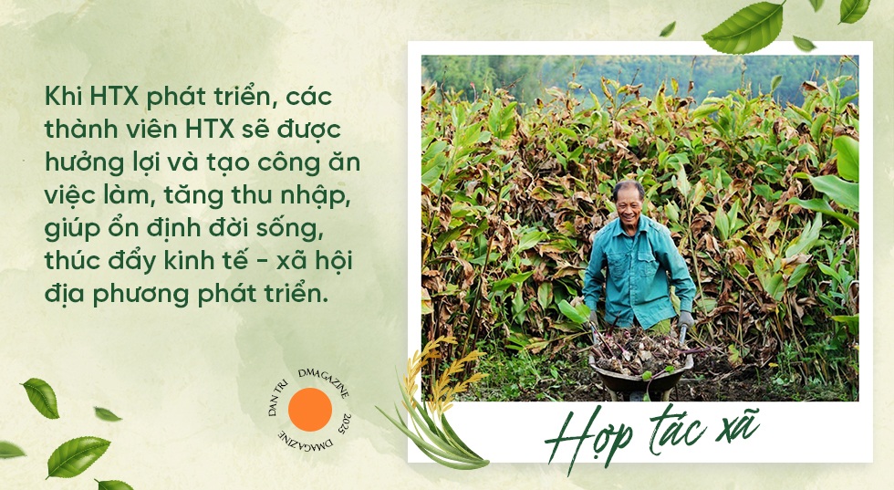 Nhân rộng những mô hình hợp tác xã giúp người dân thoát nghèo - 3 Nhân rộng những mô hình hợp tác xã giúp người dân thoát nghèo - 3
