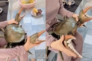 Thực hư clip con cua nặng 7kg, giá 3 triệu đồng ở miền Tây