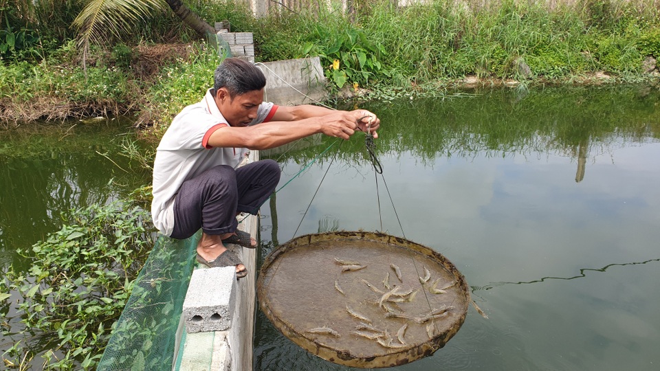 8X biến đồng trũng thành khu nông nghiệp công nghệ cao, thu hàng trăm triệu đồng - 2 8X biến đồng trũng thành khu nông nghiệp công nghệ cao, thu hàng trăm triệu đồng - 2